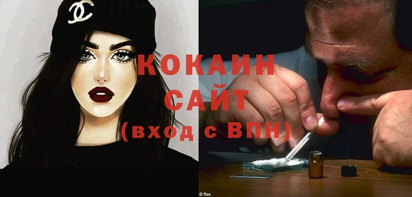 гидра Гвардейск