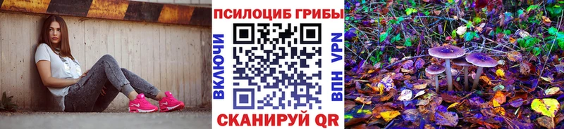 Псилоцибиновые грибы GOLDEN TEACHER  закладка  Мирный 