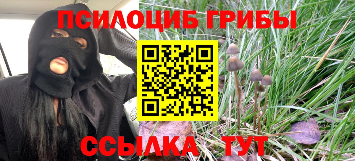 Псилоцибиновые грибы GOLDEN TEACHER  Вход с VPN  Мирный 